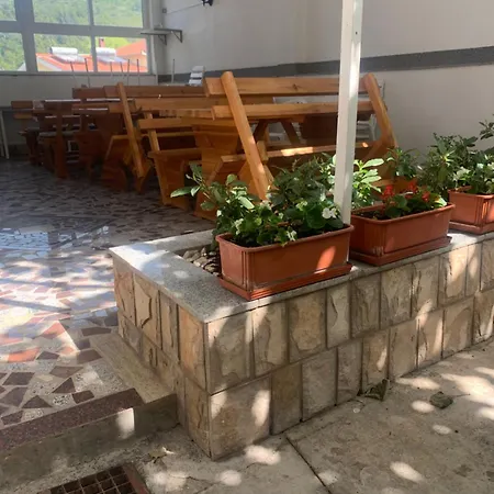 Ruza Podaca