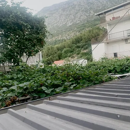 Apartamento Ruza Podaca